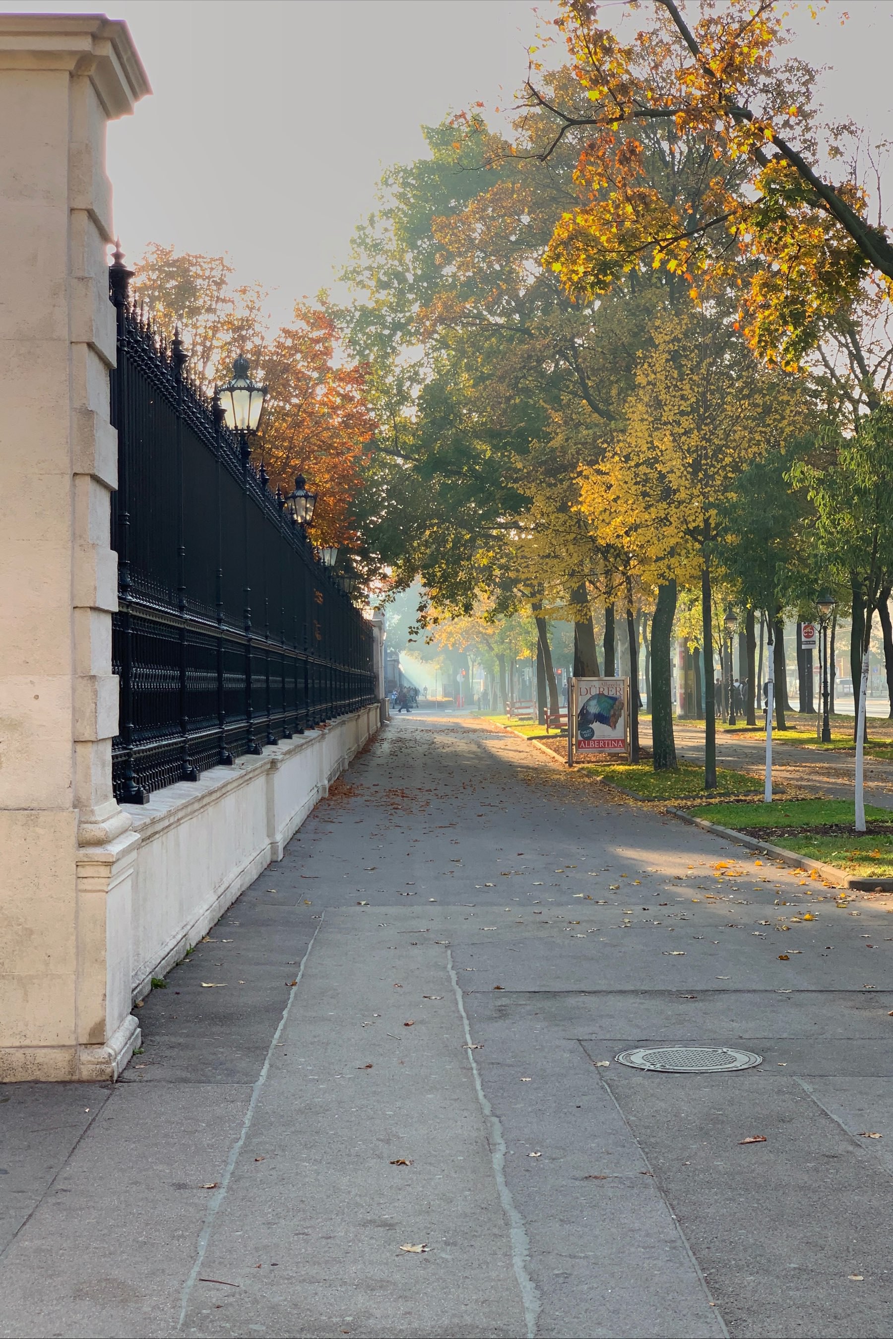 empty sidewalks with trees on the right side, a fence on the left side and a lot of light