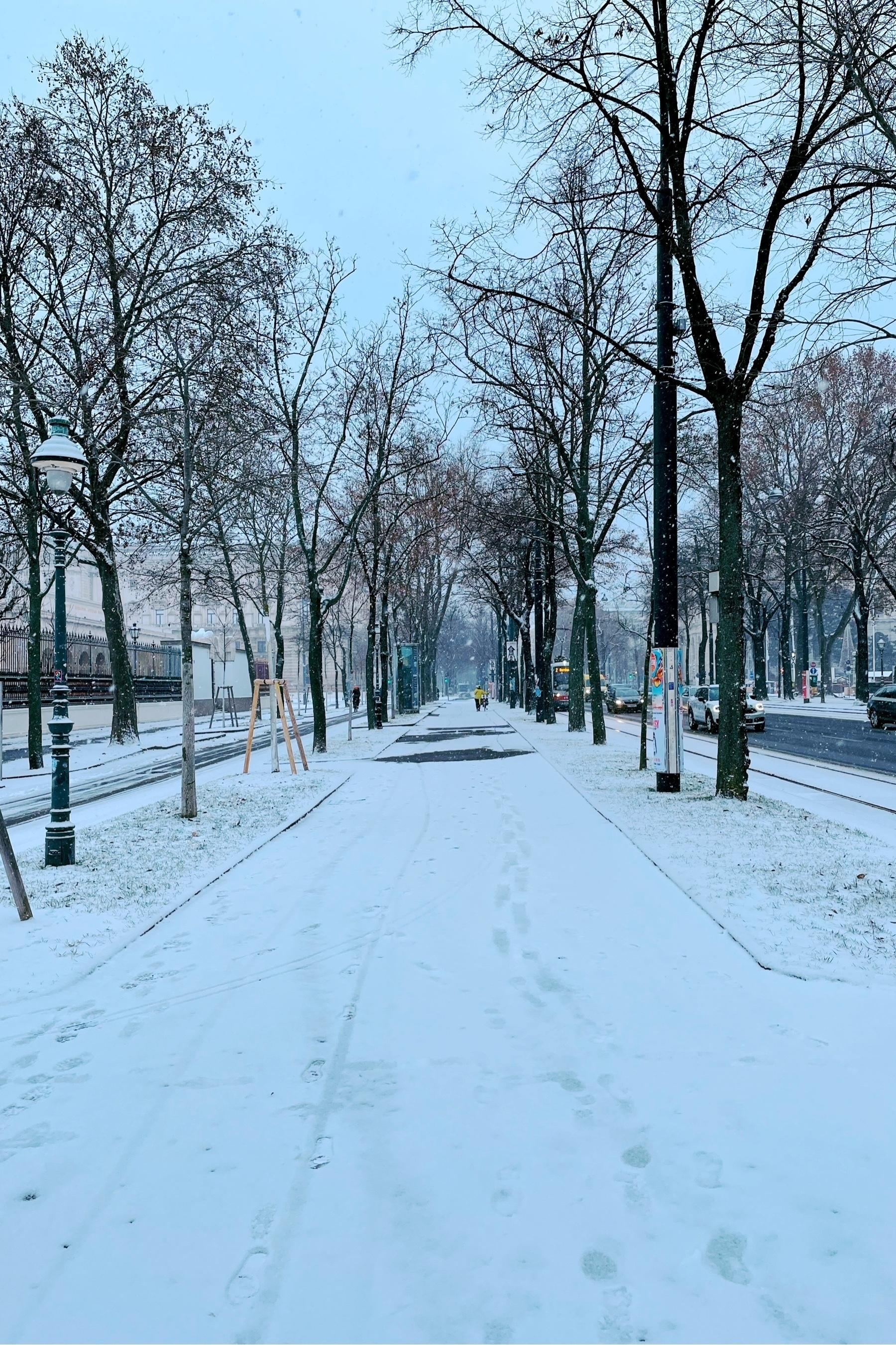 Pedestrian walk way, trees on each side, on the right is a street with cars and a tram, on the left some imperial Habsburg buildings. It is snowing and there is roughly 2 cm of snow on the ground